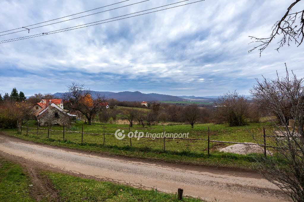 3590 nm - AADAT.propertyImage (7)