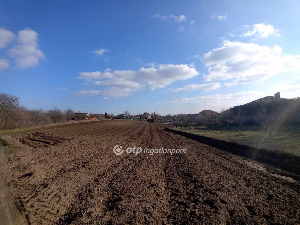 870 nm - AADAT.propertyImage (1)