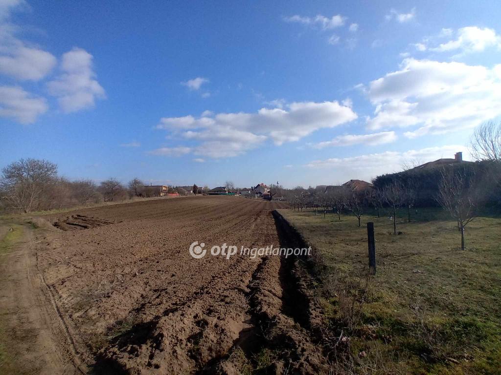 870 nm - AADAT.propertyImage (2)