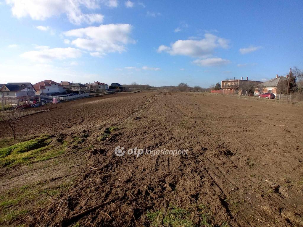 870 nm - AADAT.propertyImage (4)