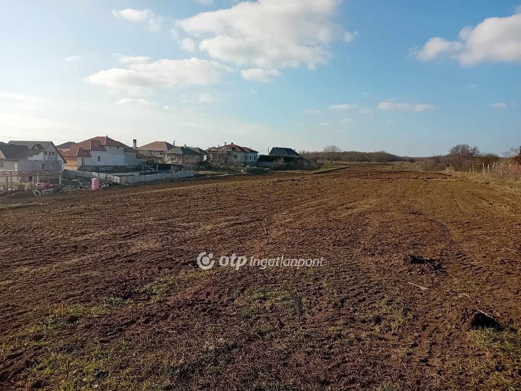 870 nm - AADAT.propertyImage (5)