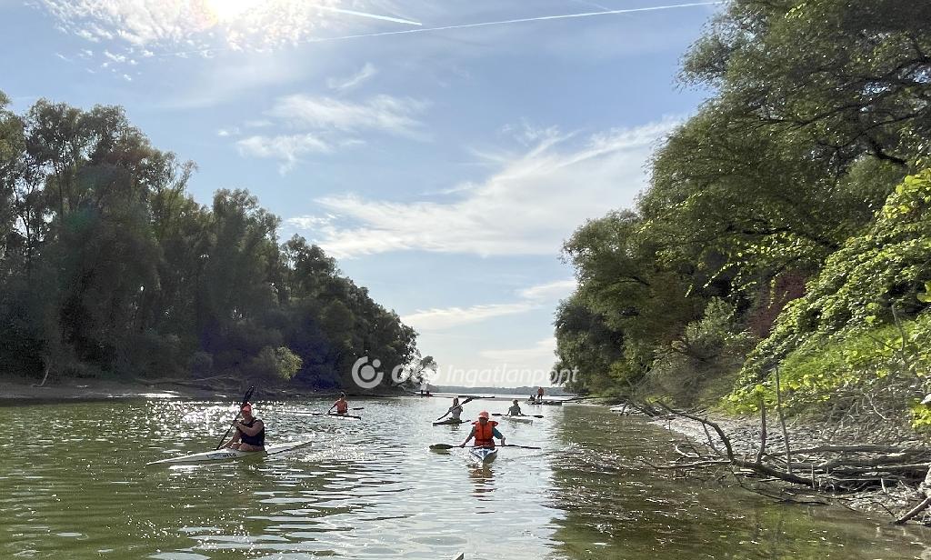 9+2 Szoba, tégla Építésű, 242 nm - AADAT.propertyImage (21)