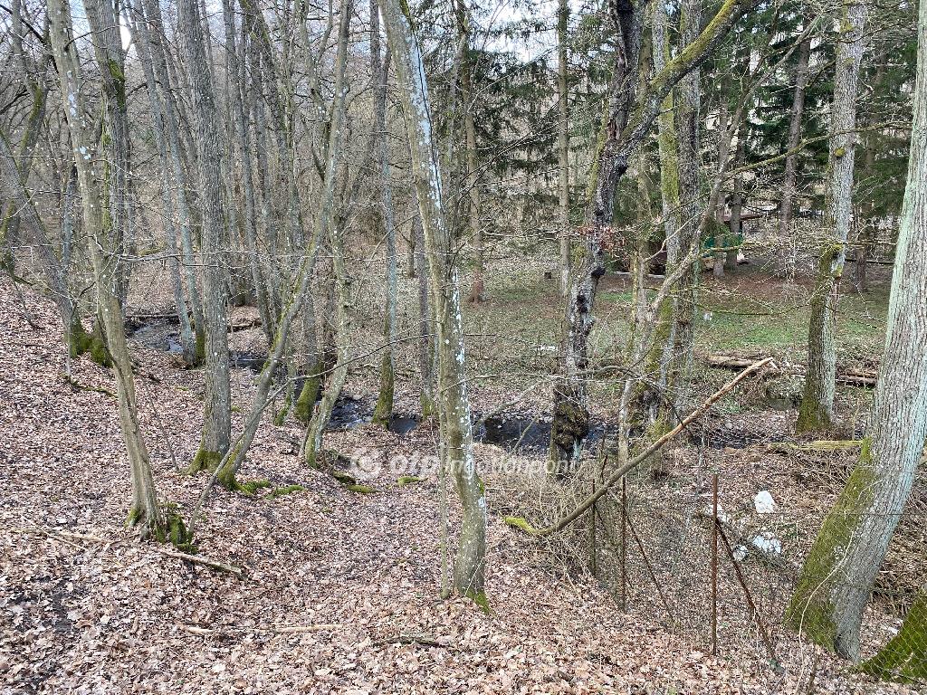 2622 nm - AADAT.propertyImage (3)