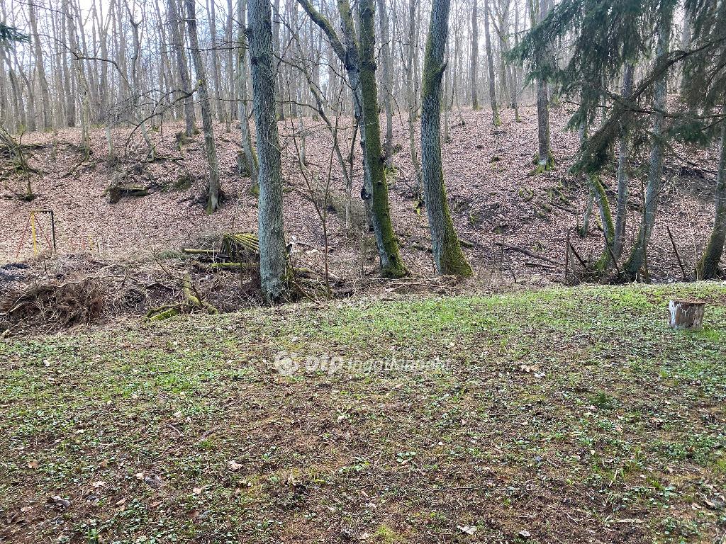 2622 nm - AADAT.propertyImage (8)