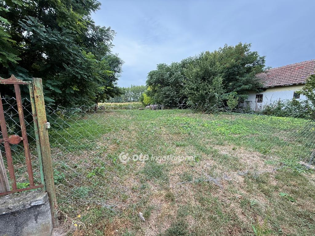 Eladó telek, Tiszavasvári, 2. kép