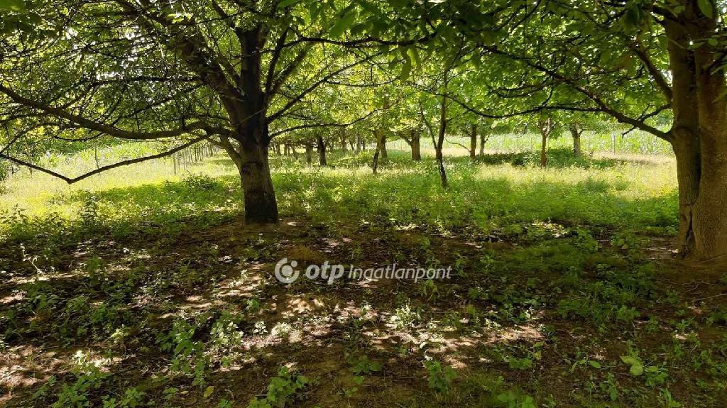 Eladó családi ház, Ököritófülpös, 3. kép