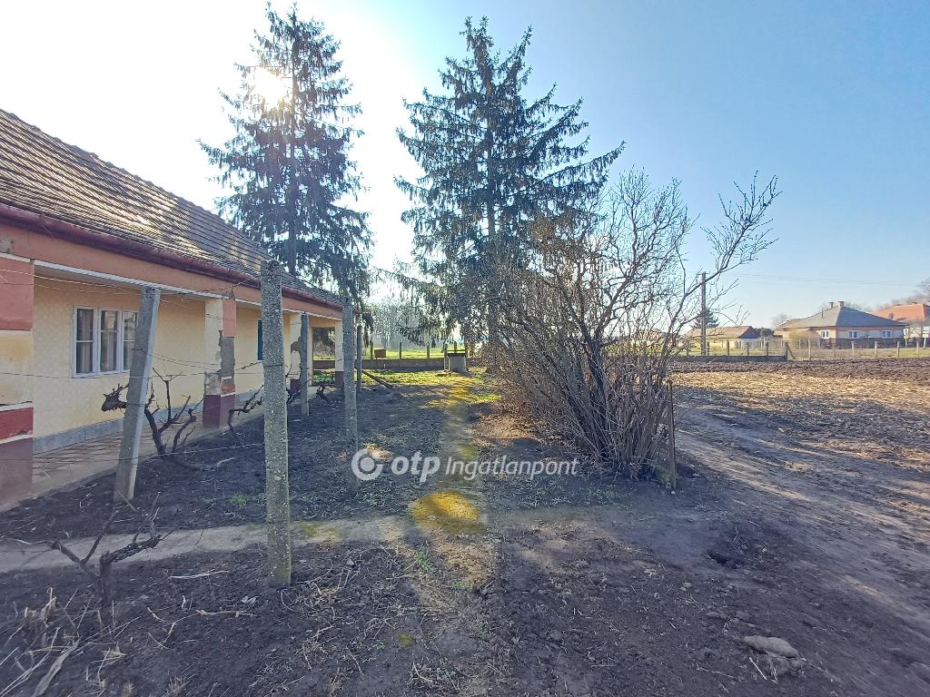 Eladó családi ház, Nagycserkesz, 19. kép