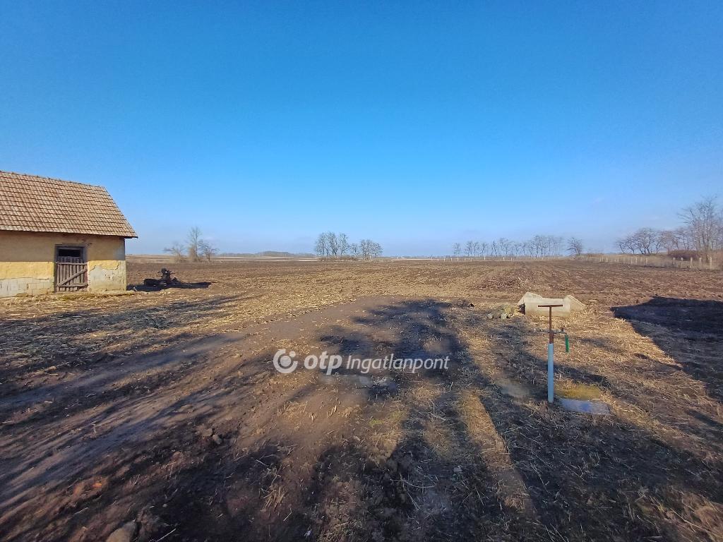 Eladó családi ház, Nagycserkesz, 20. kép