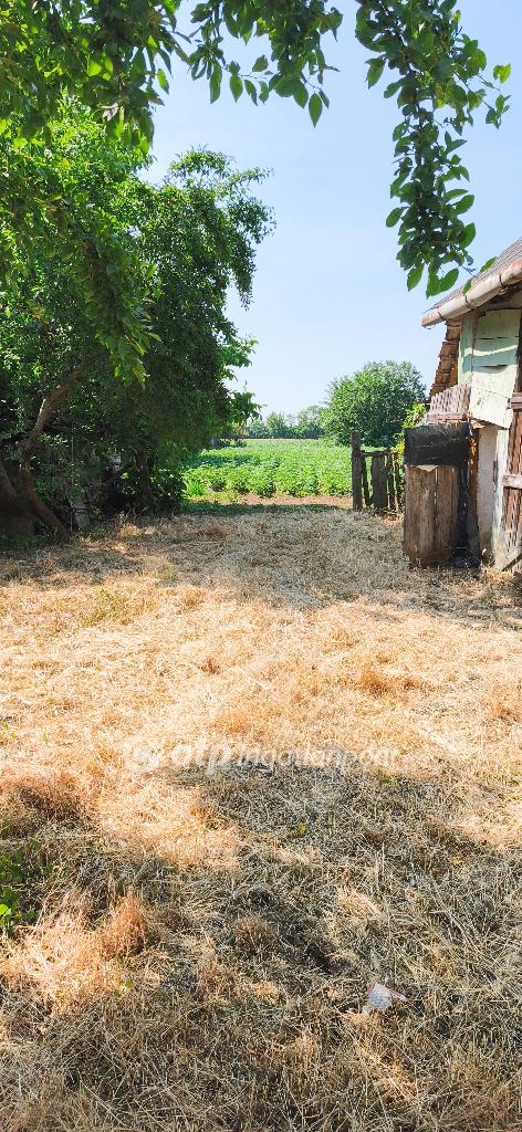 Eladó családi ház, Gávavencsellő, 12. kép