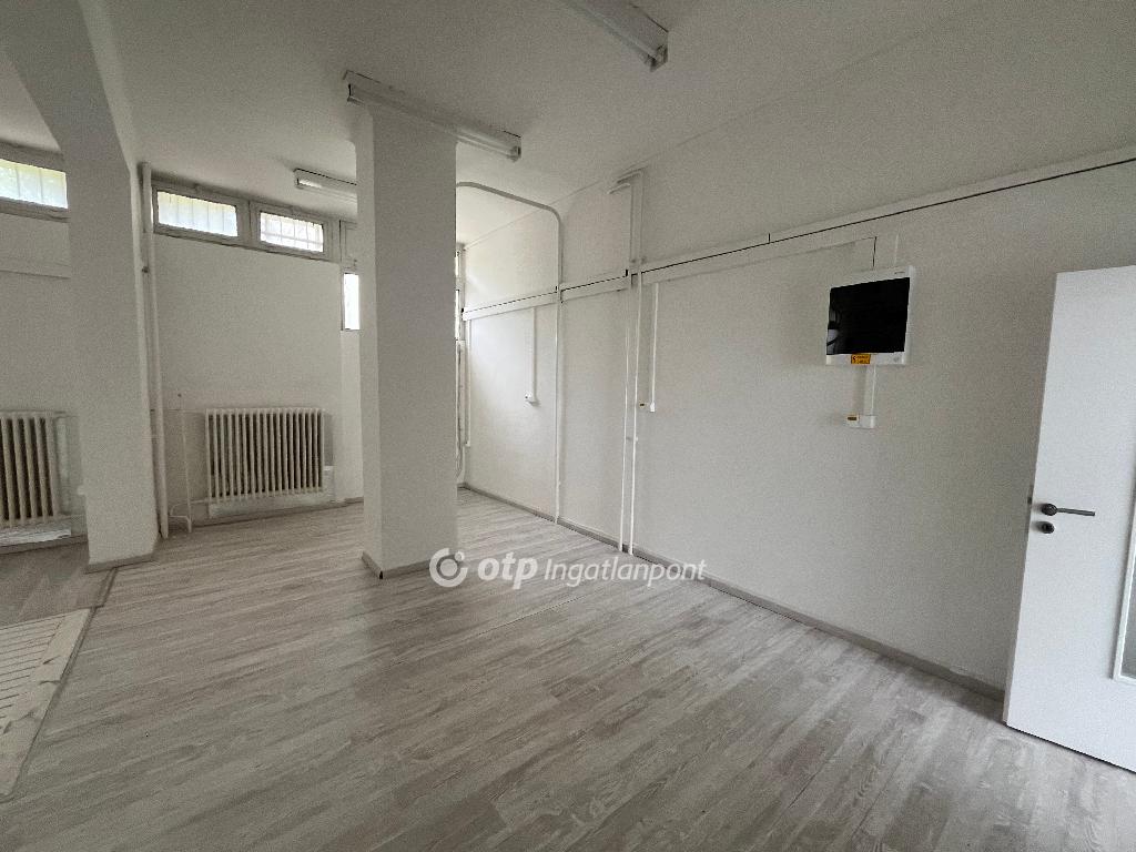 Kiadó üzlethelyiség, Nyíregyháza, 11. kép