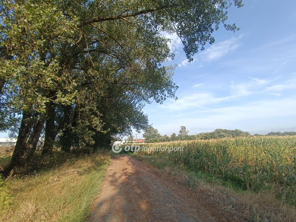 Eladó telek, Kisvárda, 8. kép