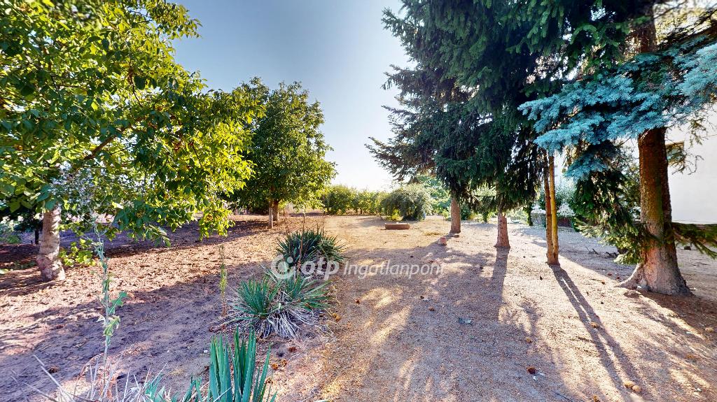 Eladó családi ház, Kálmánháza, 7. kép