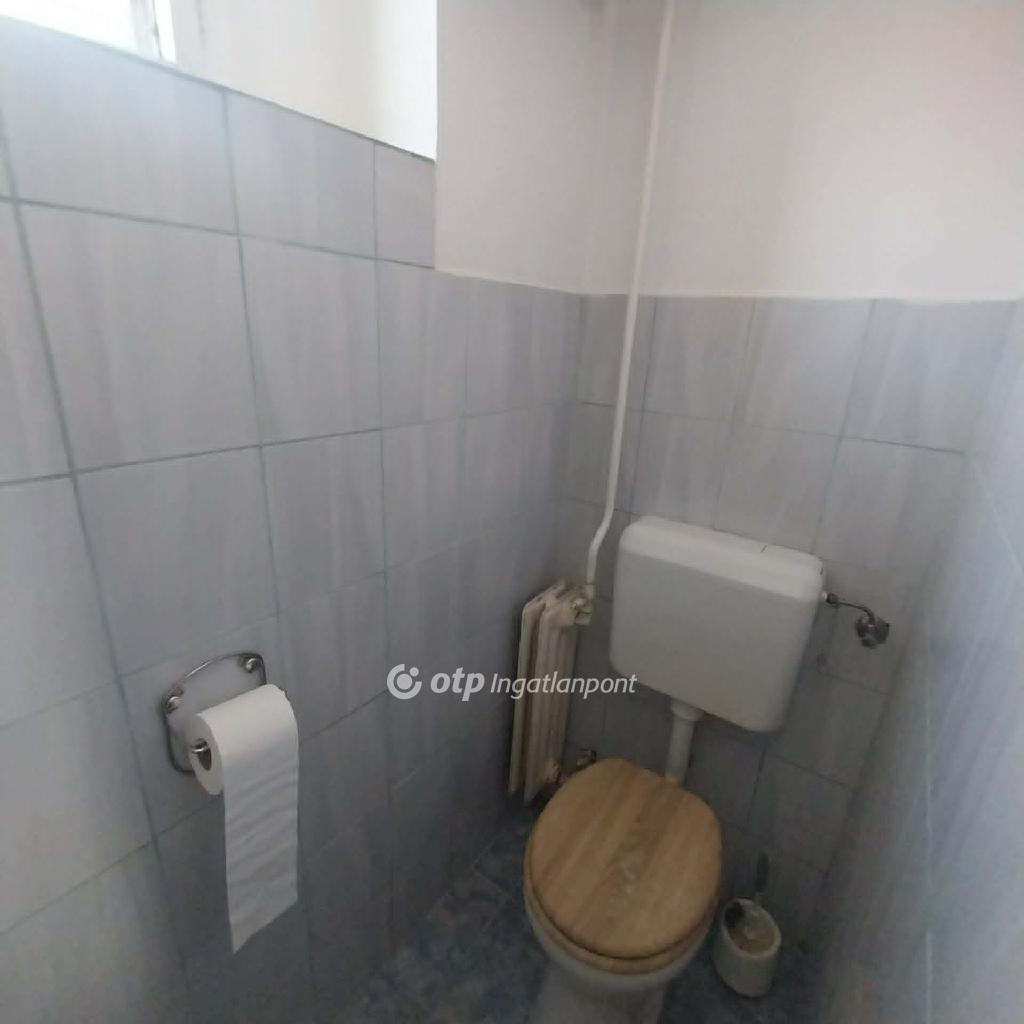 Eladó családi ház, Apagy, 8. kép