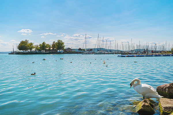 korszakvaltas-a-balatonon